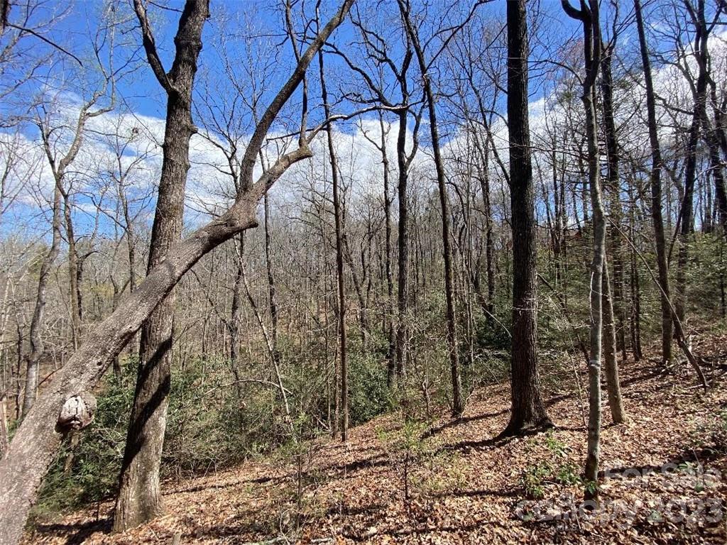 V/l Lytle Mountain Road, Unit 9 Marion, NC 28752 - Photo 7 of 13 Gallery Image 7