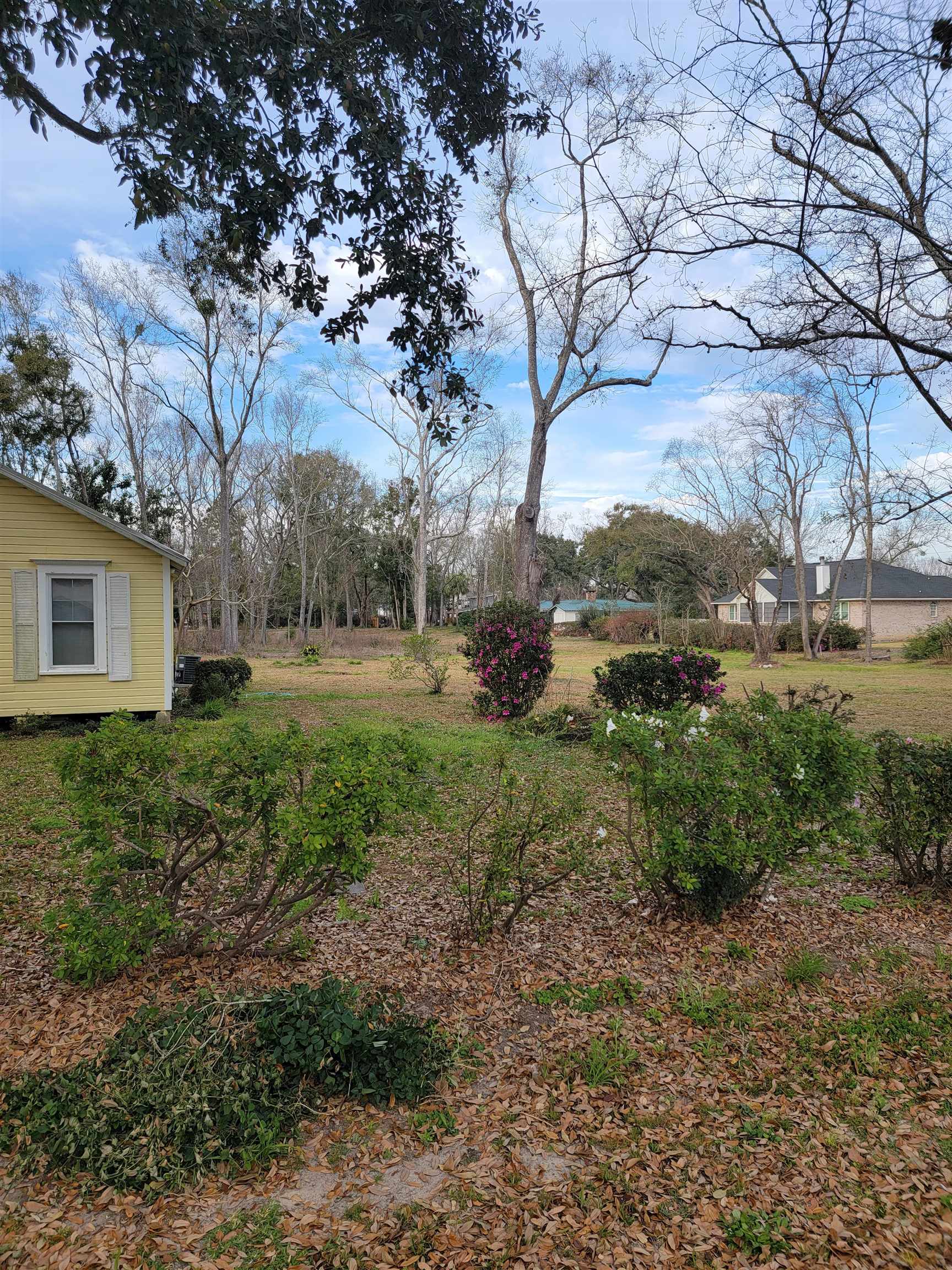 410 West Persimmon Avenue Foley, AL 36535 - Photo 3 of 23