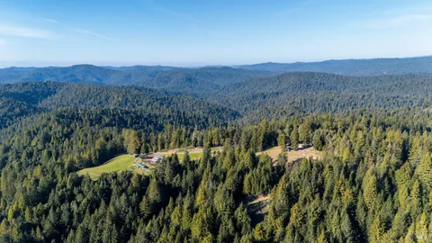 a view of a lush green forest with mountains in the background