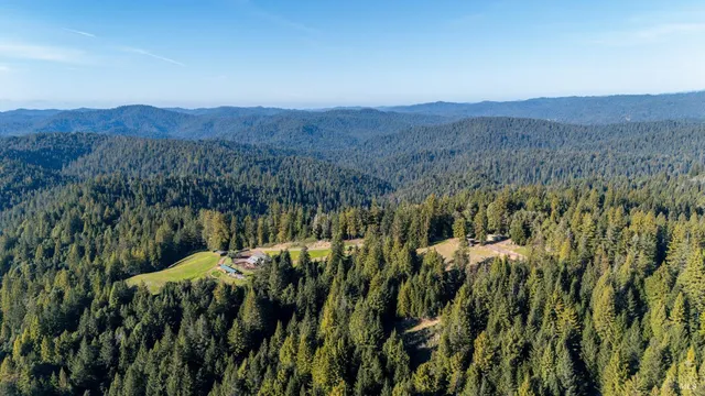 a view of a lush green forest with mountains in the background