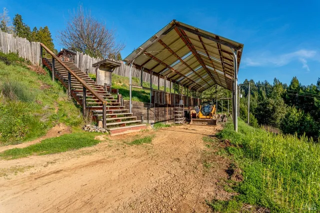 a view of backyard with potted plants and tree