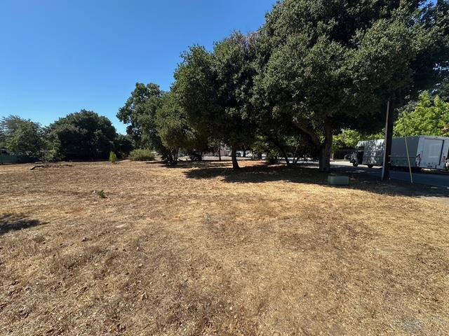 0 Monterey Road Morgan Hill, CA 95037 - Photo 11 of 12 a view of yard with trees