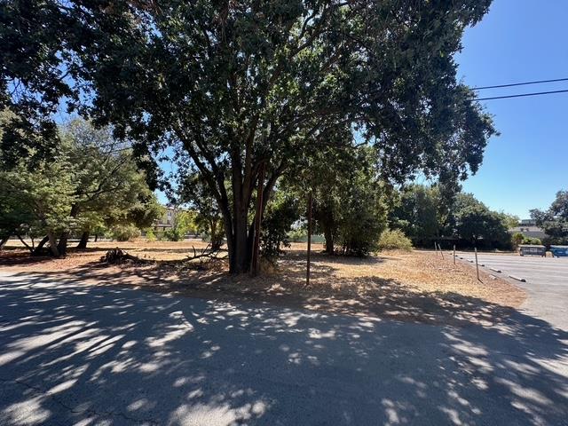 0 Monterey Road Morgan Hill, CA 95037 - Photo 6 of 12 a view of a tree with a yard