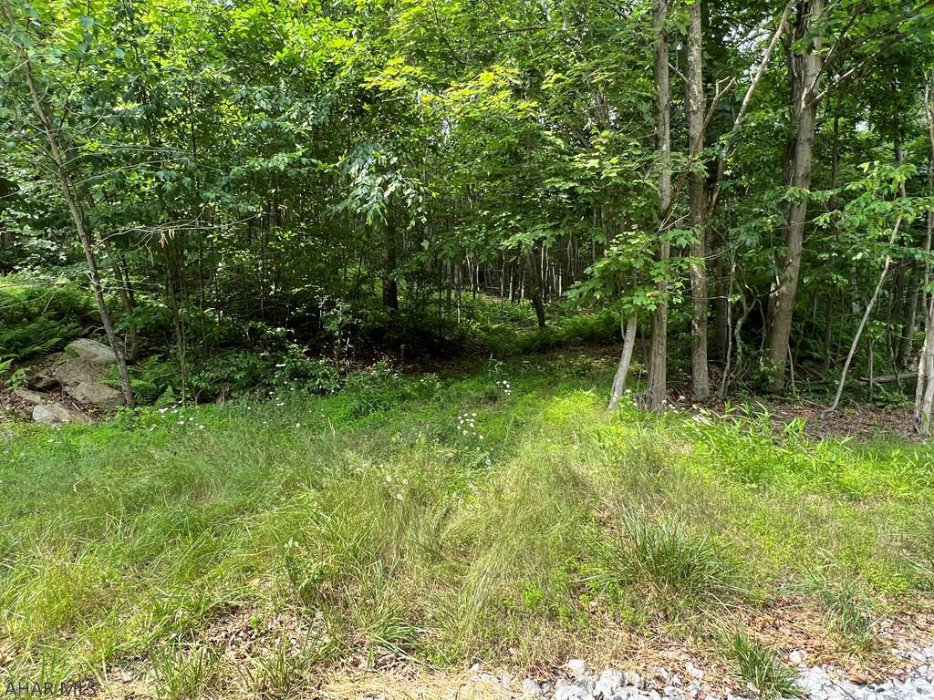 2982 Sherman Valley Road Hopewell, PA 16650 - Photo 13 of 13 Gallery Image 13