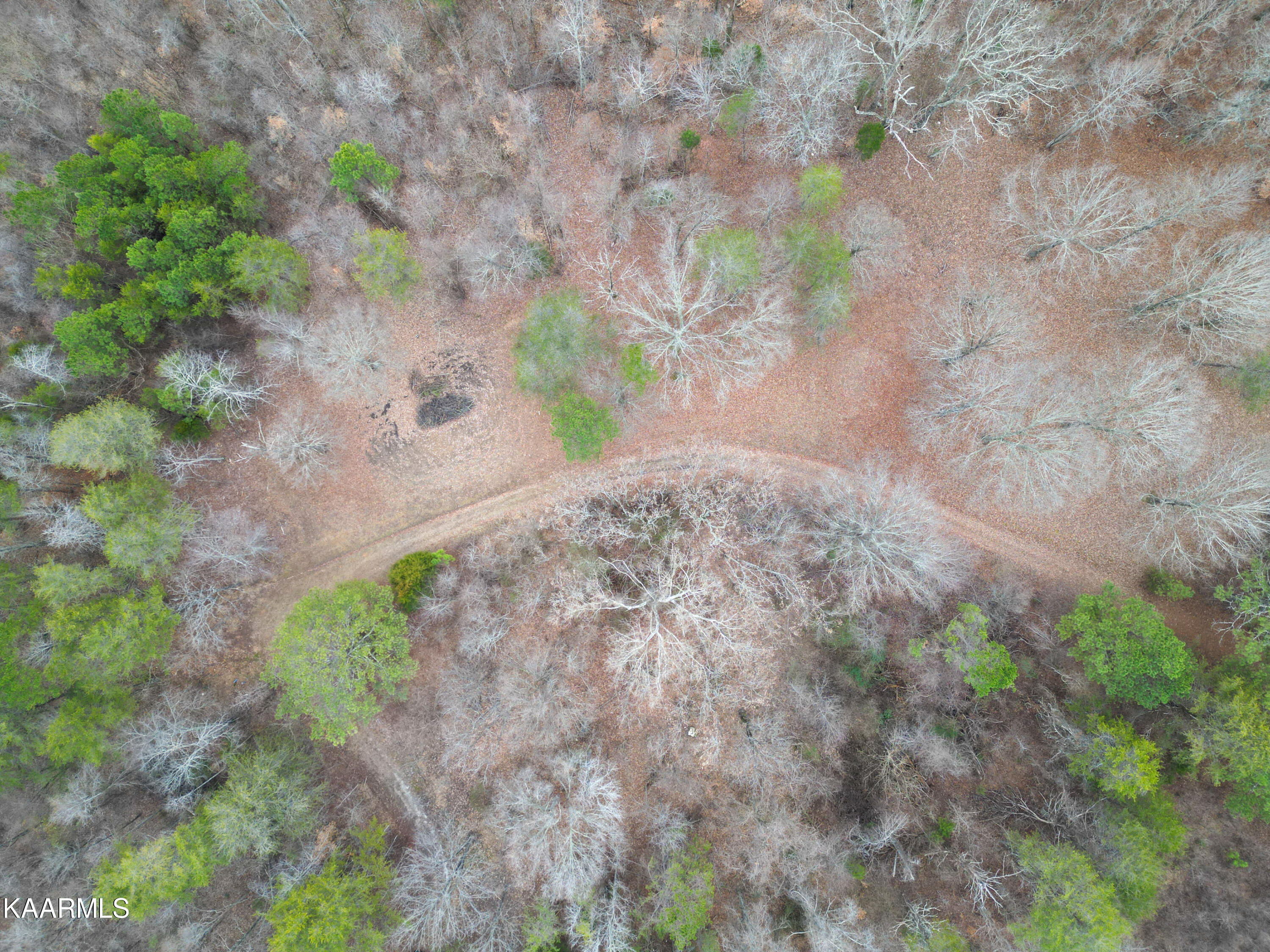 Settlers Road Harriman, TN 37748 - Photo 12 of 12 Birds Eye View