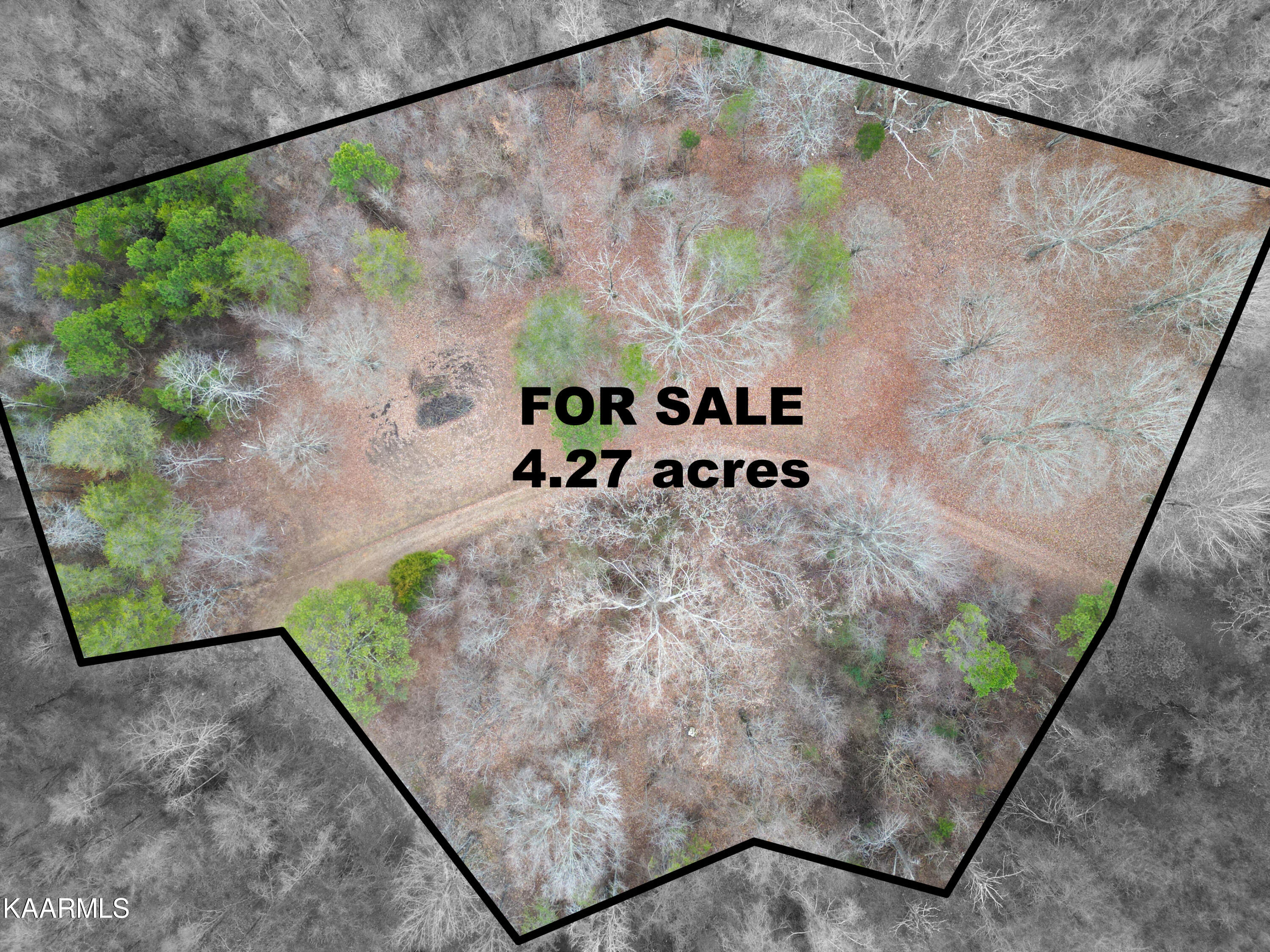 Settlers Road Harriman, TN 37748 - Photo 4 of 12 All 7 lots equal 4.27 acres