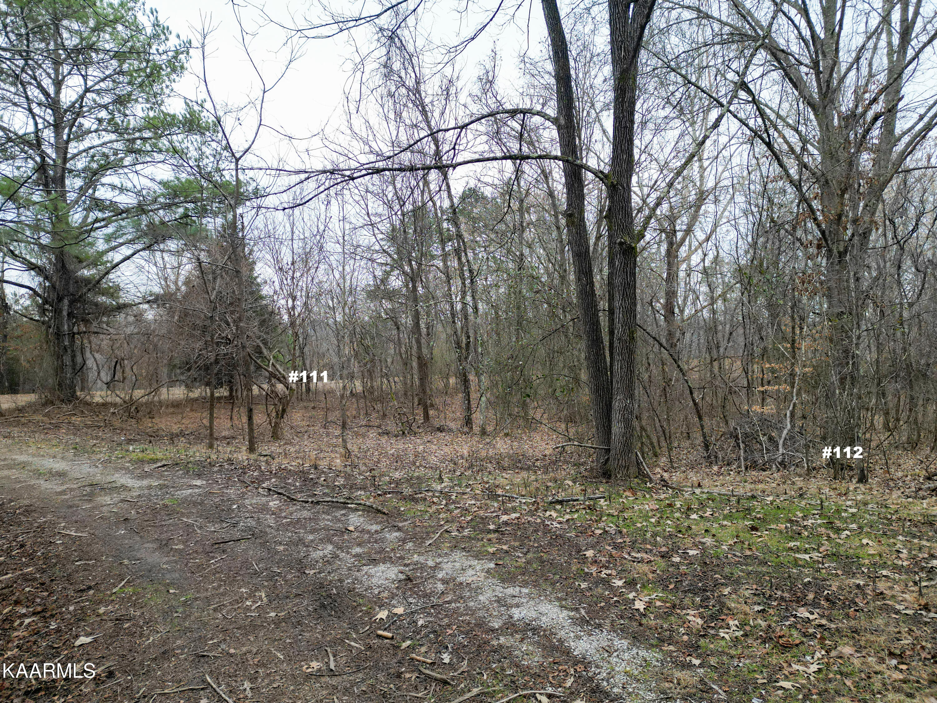Settlers Road Harriman, TN 37748 - Photo 5 of 12 LOTS 111, 112