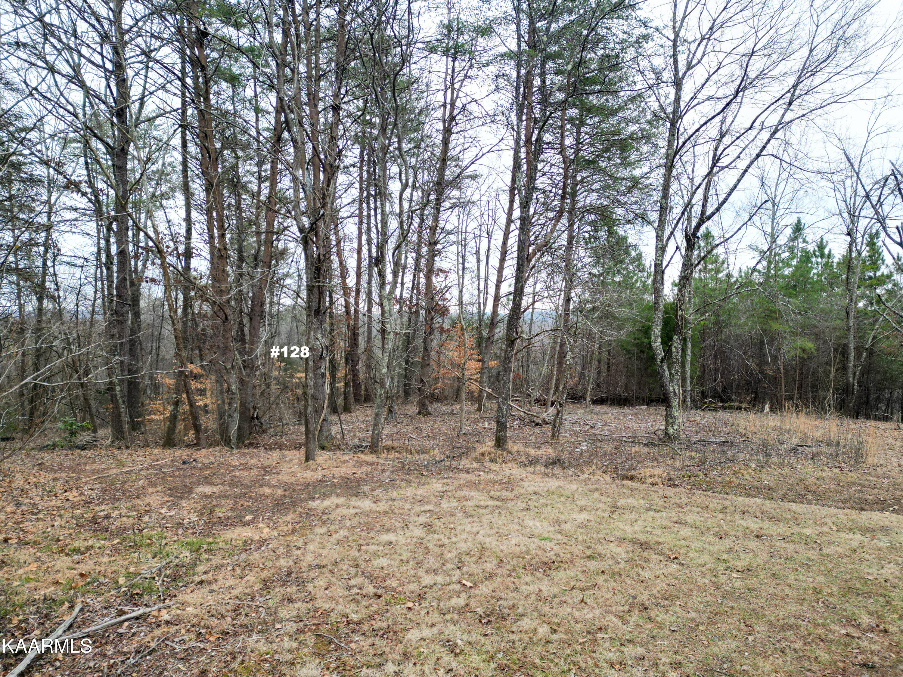 Settlers Road Harriman, TN 37748 - Photo 6 of 12 Lot 128