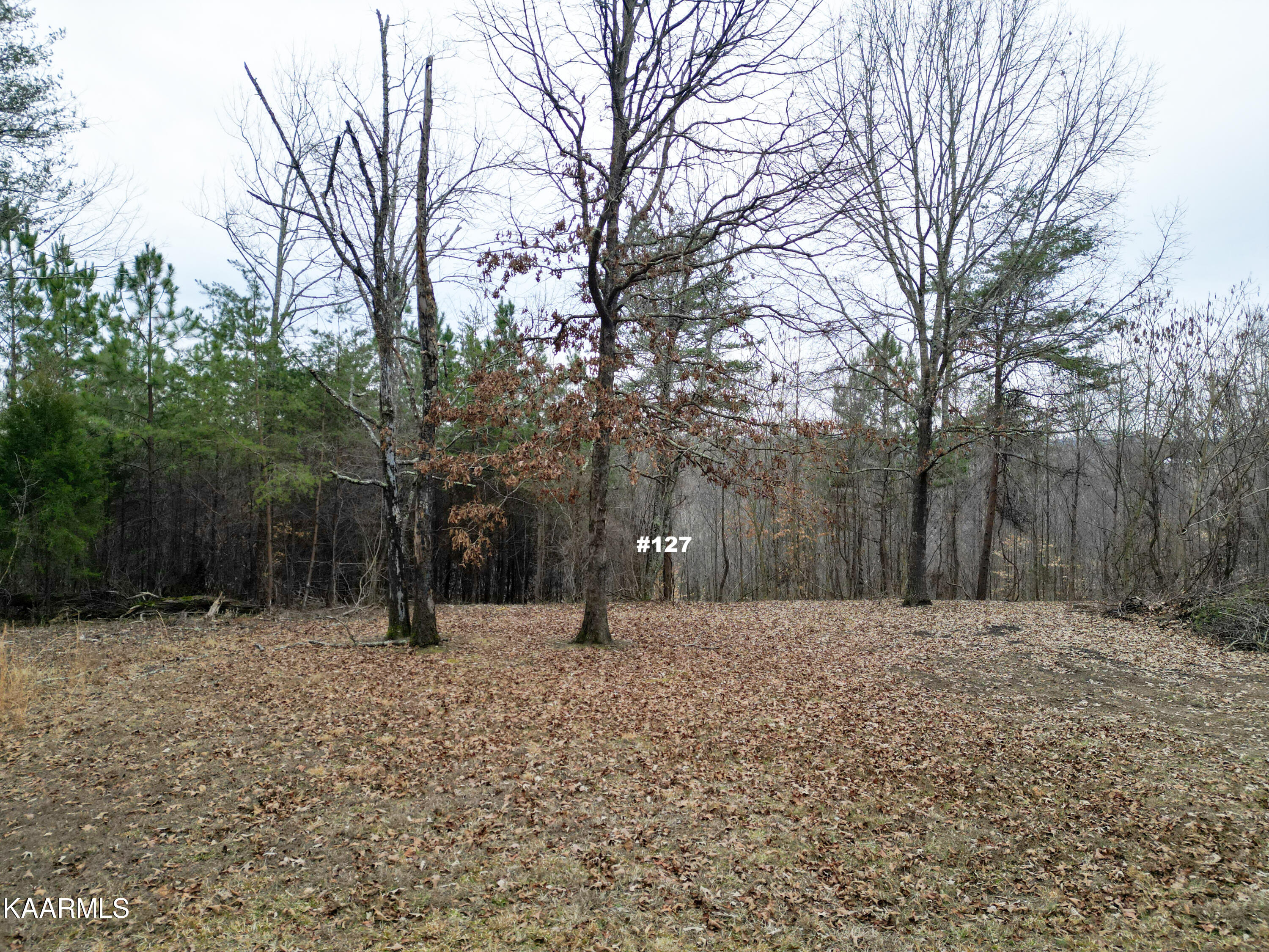 Settlers Road Harriman, TN 37748 - Photo 7 of 12 Lot 127