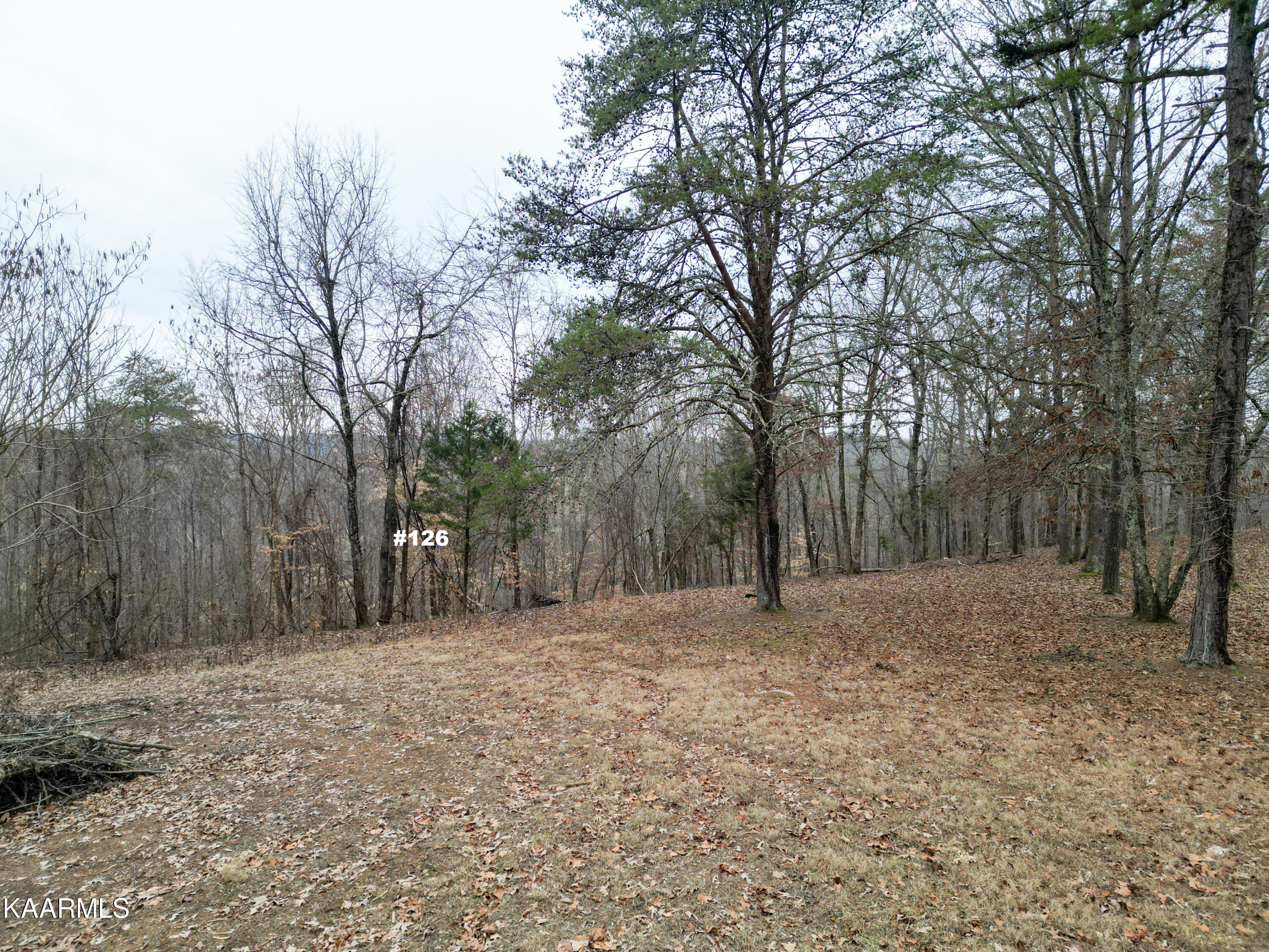 Settlers Road Harriman, TN 37748 - Photo 8 of 12 Lot 126