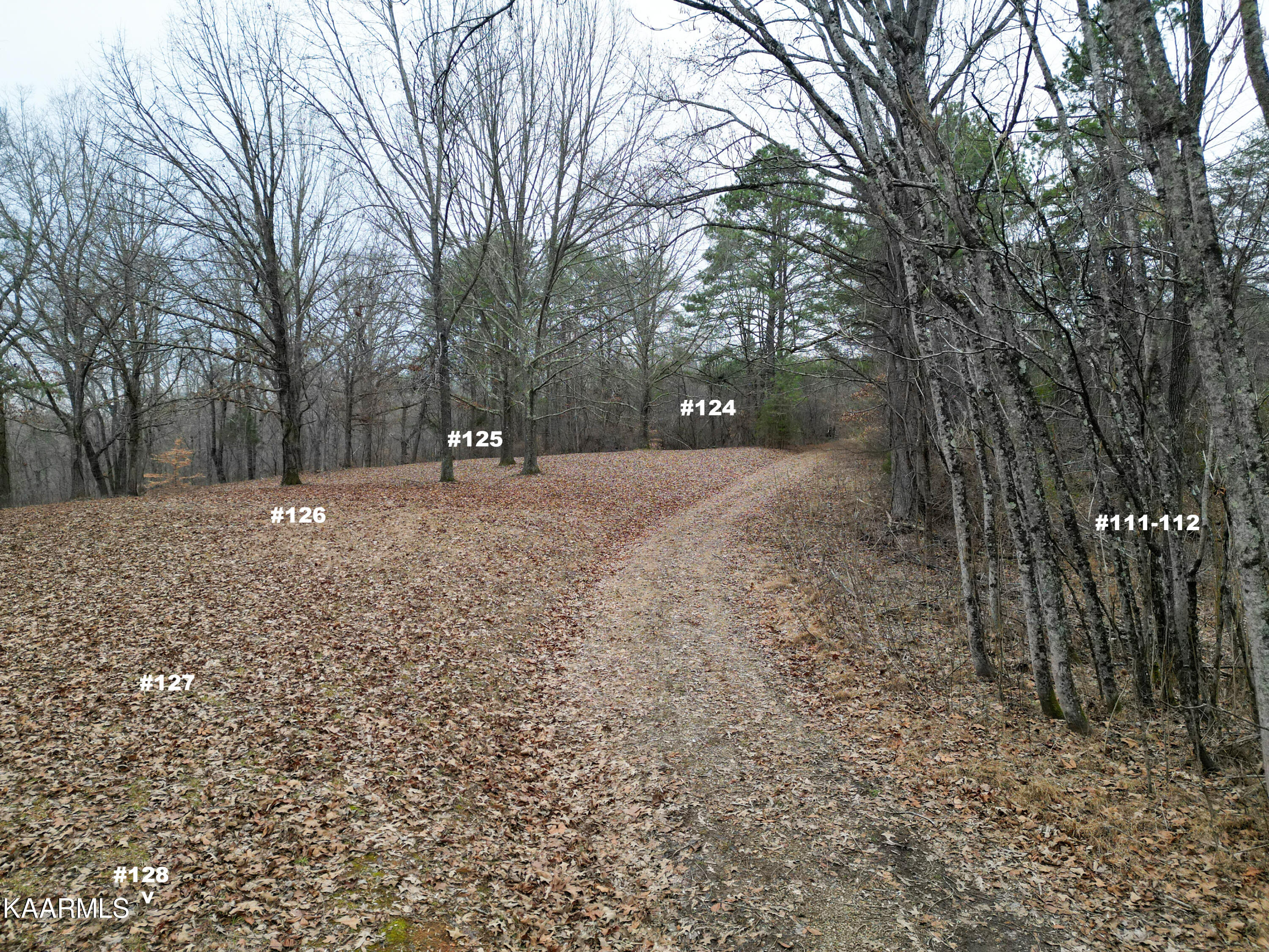Settlers Road Harriman, TN 37748 - Photo 10 of 12 Settlers Rd - Lots