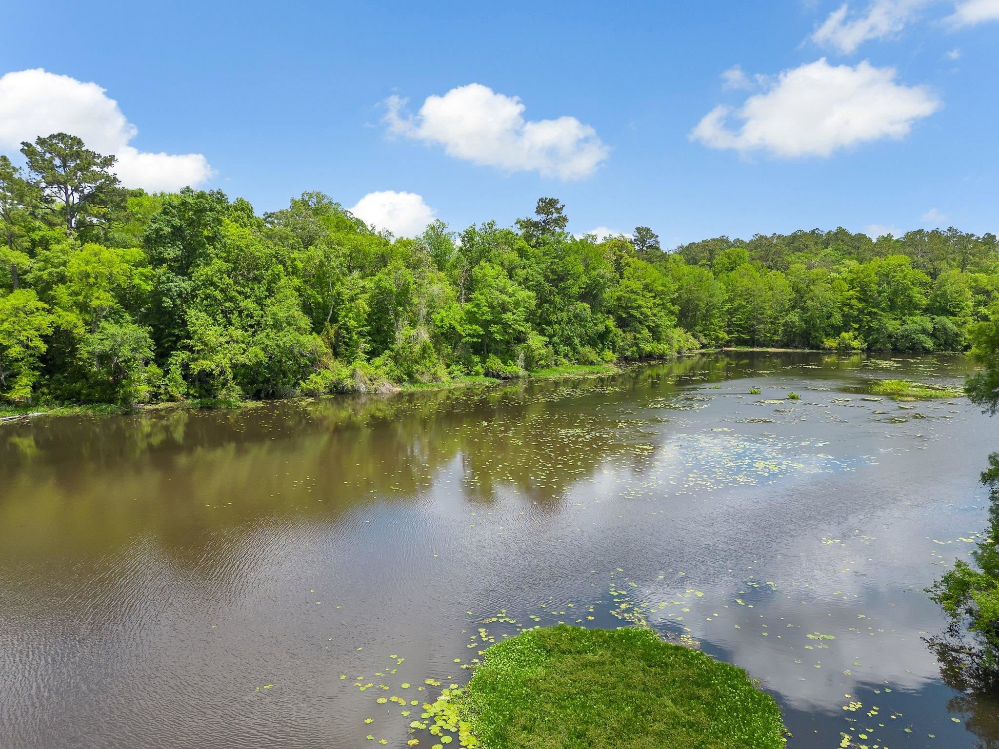 Collins Landing Road Tallahassee, FL 32310 - Photo 15 of 15 Gallery Image 15