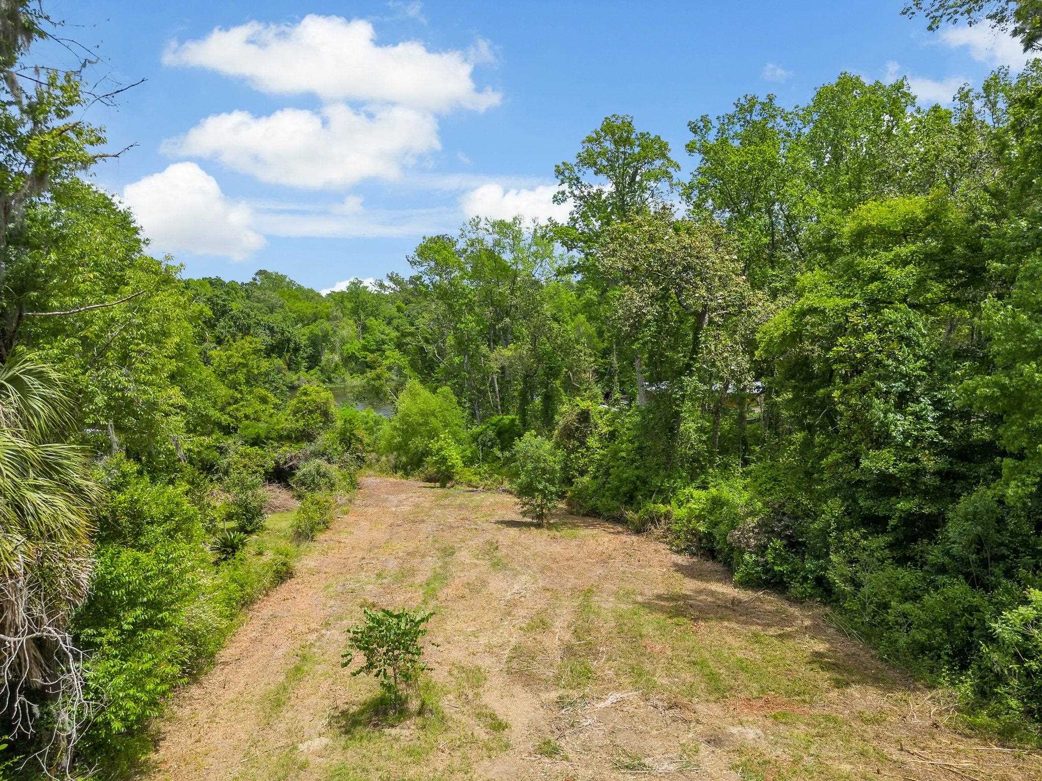 Collins Landing Road Tallahassee, FL 32310 - Photo 3 of 15 Gallery Image 3