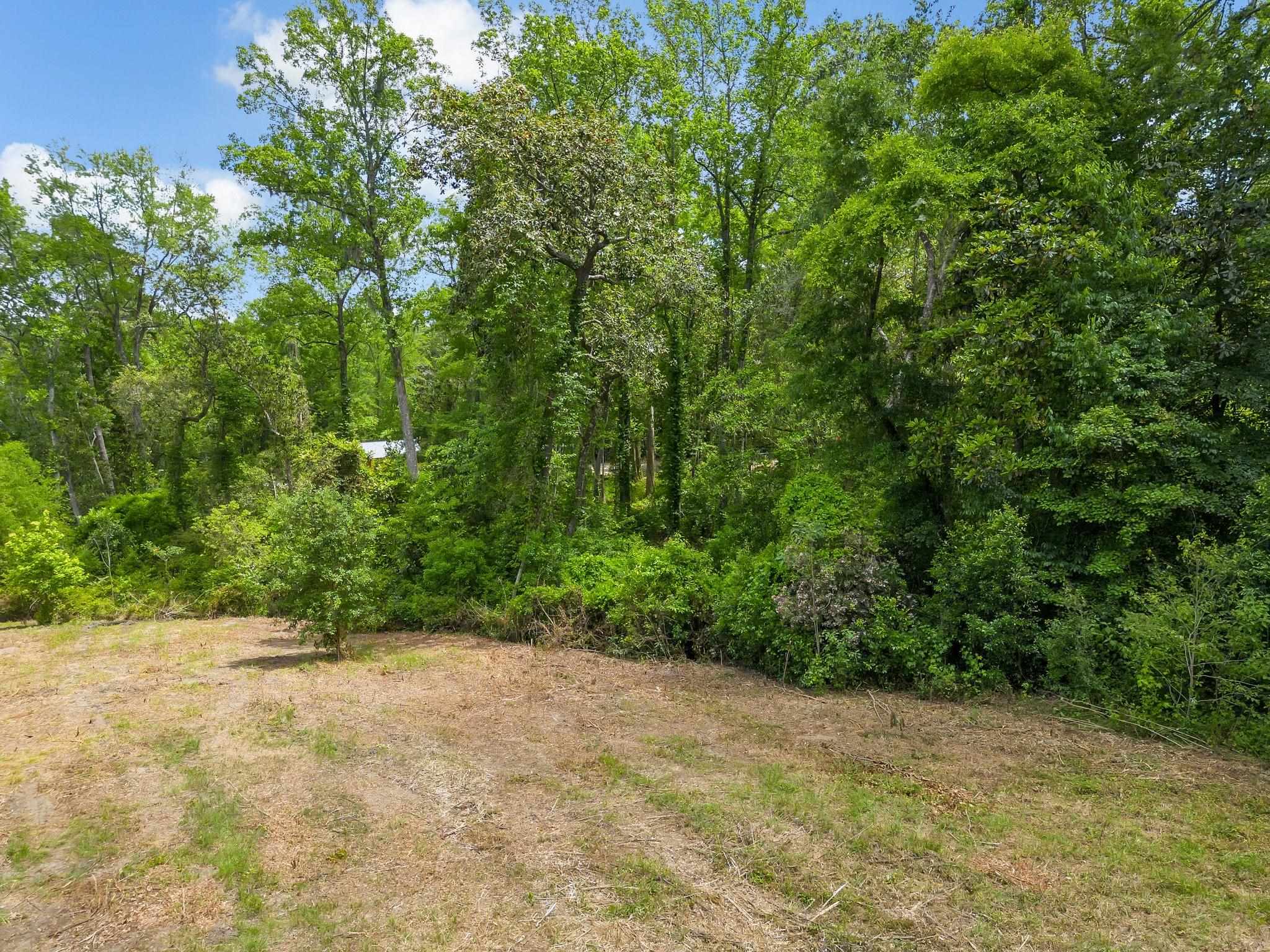 Collins Landing Road Tallahassee, FL 32310 - Photo 5 of 15 Gallery Image 5
