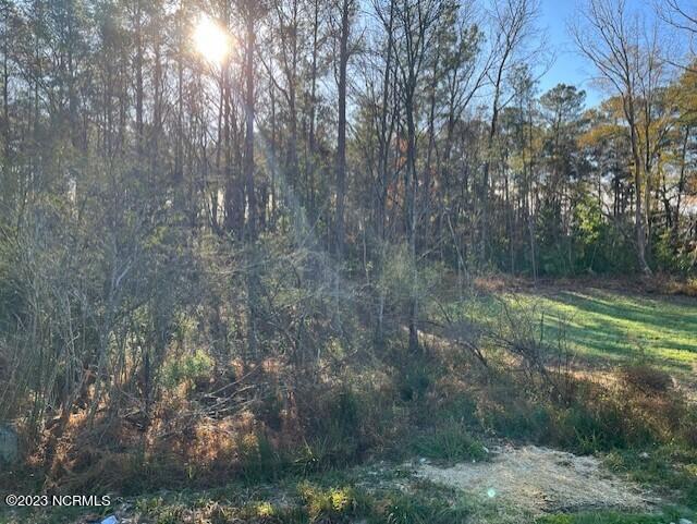 Lot 2 Commerce Road Jacksonville, NC 28546 - Photo 3 of 9 thumbnail_IMG_2411