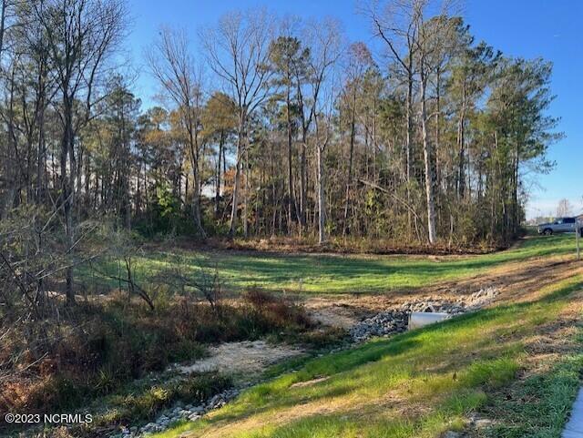 Lot 2 Commerce Road Jacksonville, NC 28546 - Photo 4 of 9 thumbnail_IMG_2412
