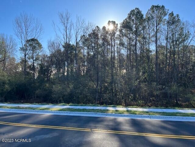 Lot 2 Commerce Road Jacksonville, NC 28546 - Photo 5 of 9 thumbnail_IMG_2413-1