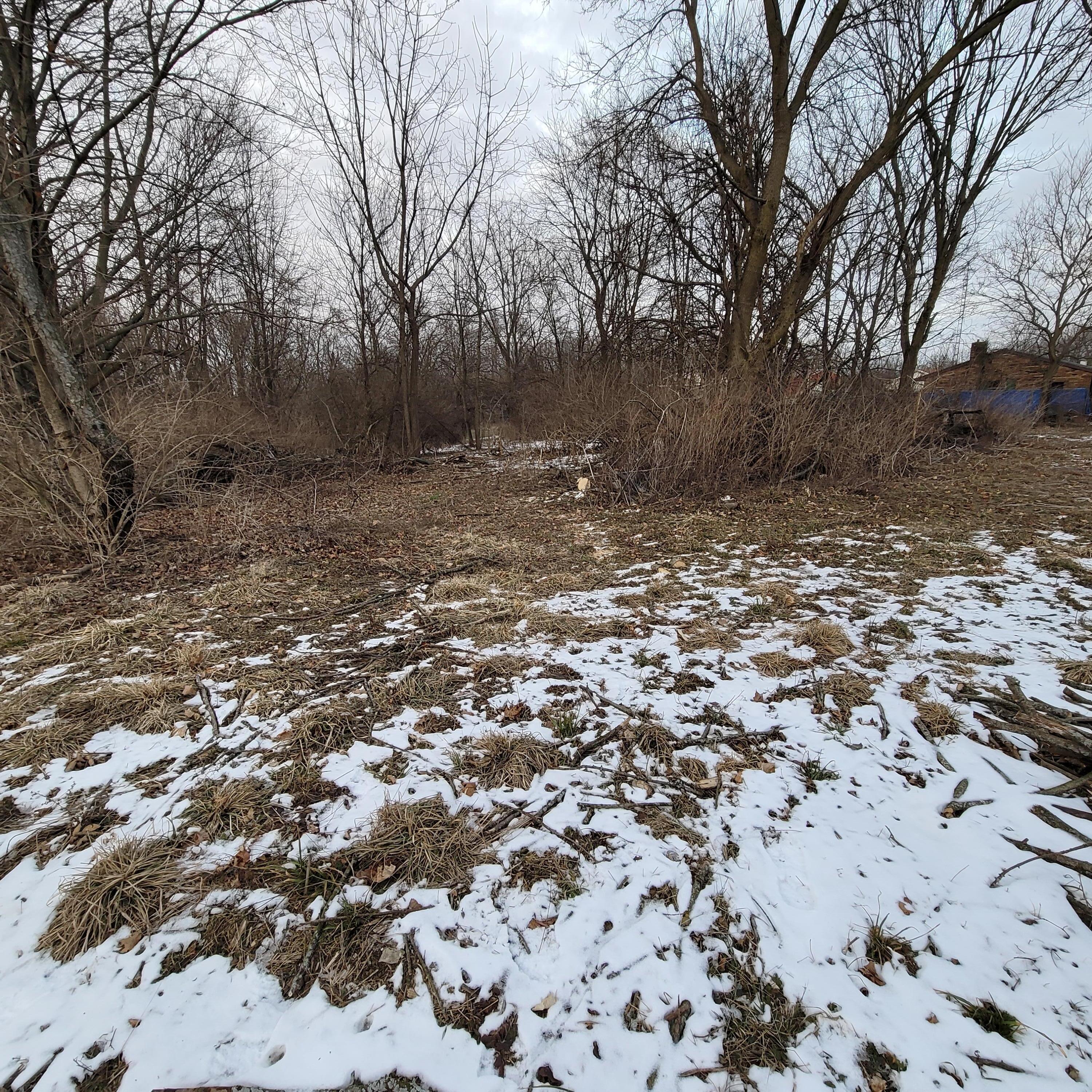 244 Zimmerman Road Leesburg, OH 45135 - Photo 9 of 13 lot 4