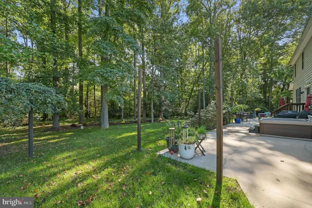a view of a park with large trees
