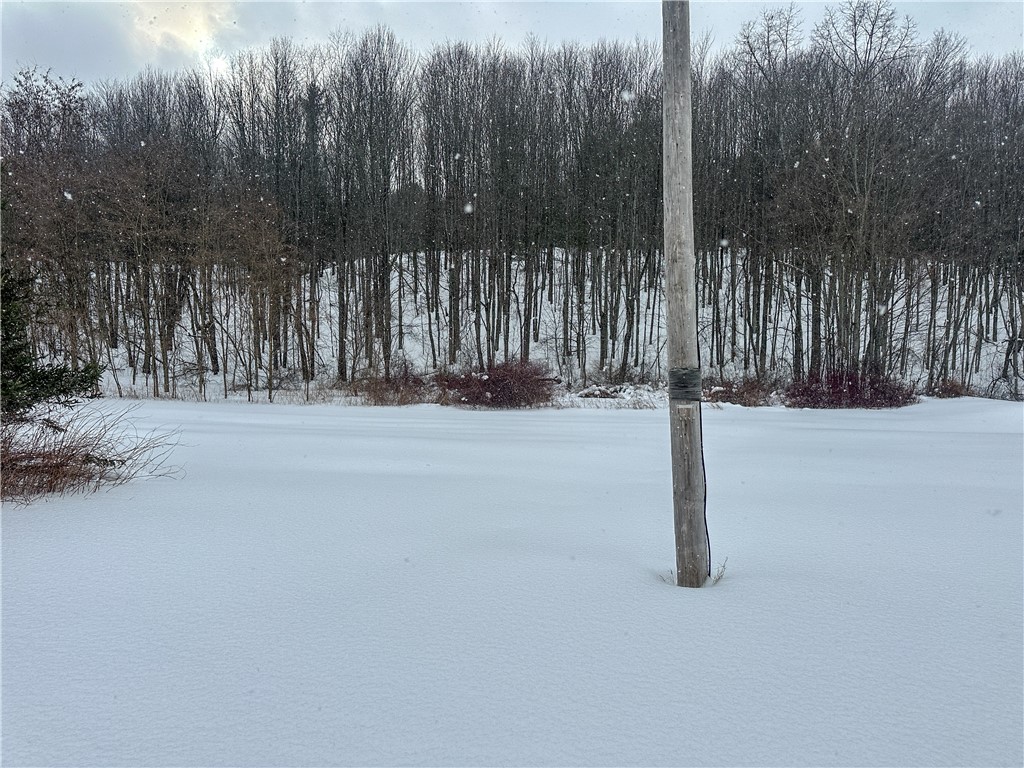 2681 State Rte 21 Wayland, NY 14572 - Photo 1 of 1 Gallery Image 1