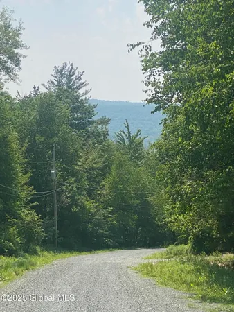 $29,000 | L20.44 Robinson Hollow Way, Stephentown, NY 12168
