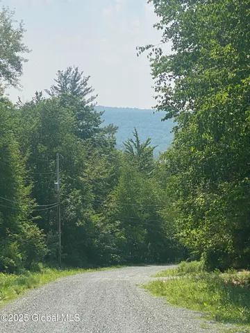 $29,000 | L20.44 Robinson Hollow Way, Stephentown, NY 12168