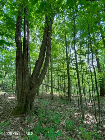 $29,000 | L20.44 Robinson Hollow Way, Stephentown, NY 12168