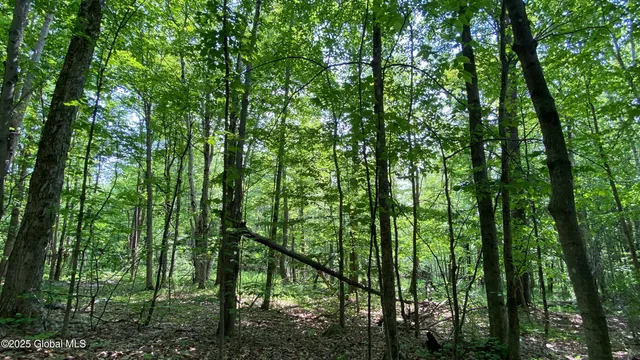 $29,000 | L20.44 Robinson Hollow Way, Stephentown, NY 12168