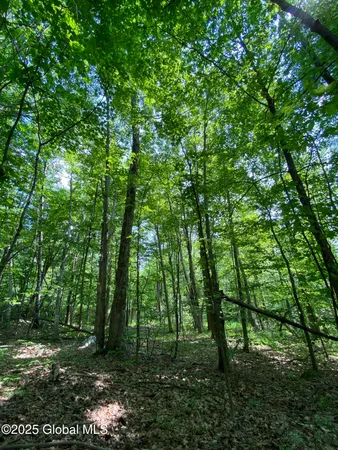 $29,000 | L20.44 Robinson Hollow Way, Stephentown, NY 12168