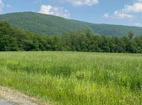 $29,000 | L20.44 Robinson Hollow Way, Stephentown, NY 12168
