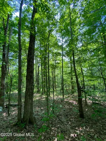 $29,000 | L20.44 Robinson Hollow Way, Stephentown, NY 12168