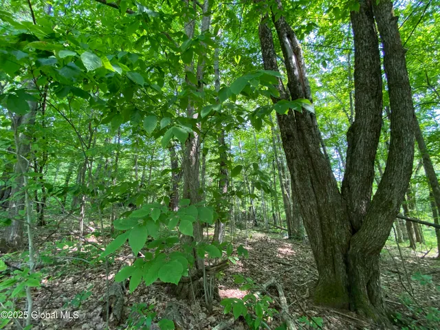 $29,000 | L20.44 Robinson Hollow Way, Stephentown, NY 12168