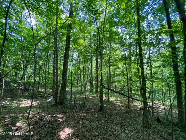 $29,000 | L20.44 Robinson Hollow Way, Stephentown, NY 12168