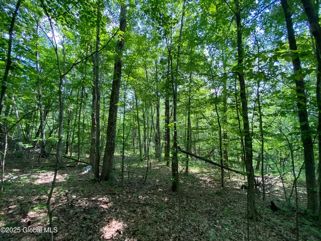 $29,000 | L20.44 Robinson Hollow Way, Stephentown, NY 12168