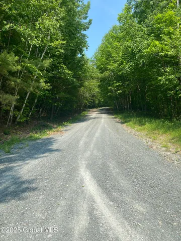 $29,000 | L20.44 Robinson Hollow Way, Stephentown, NY 12168