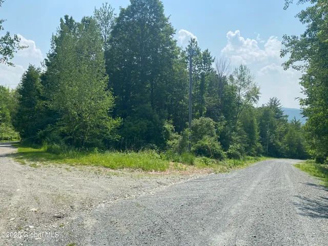 $29,000 | L20.44 Robinson Hollow Way, Stephentown, NY 12168