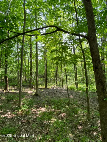 $29,000 | L20.44 Robinson Hollow Way, Stephentown, NY 12168