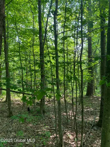 $29,000 | L20.44 Robinson Hollow Way, Stephentown, NY 12168