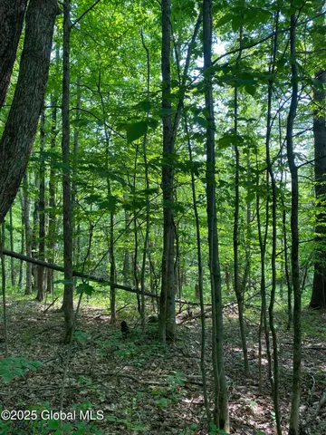 $29,000 | L20.44 Robinson Hollow Way, Stephentown, NY 12168