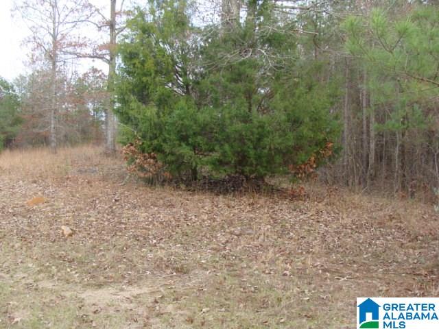 465 Cherokee Road West Blocton, AL 35184 - Photo 23 of 29