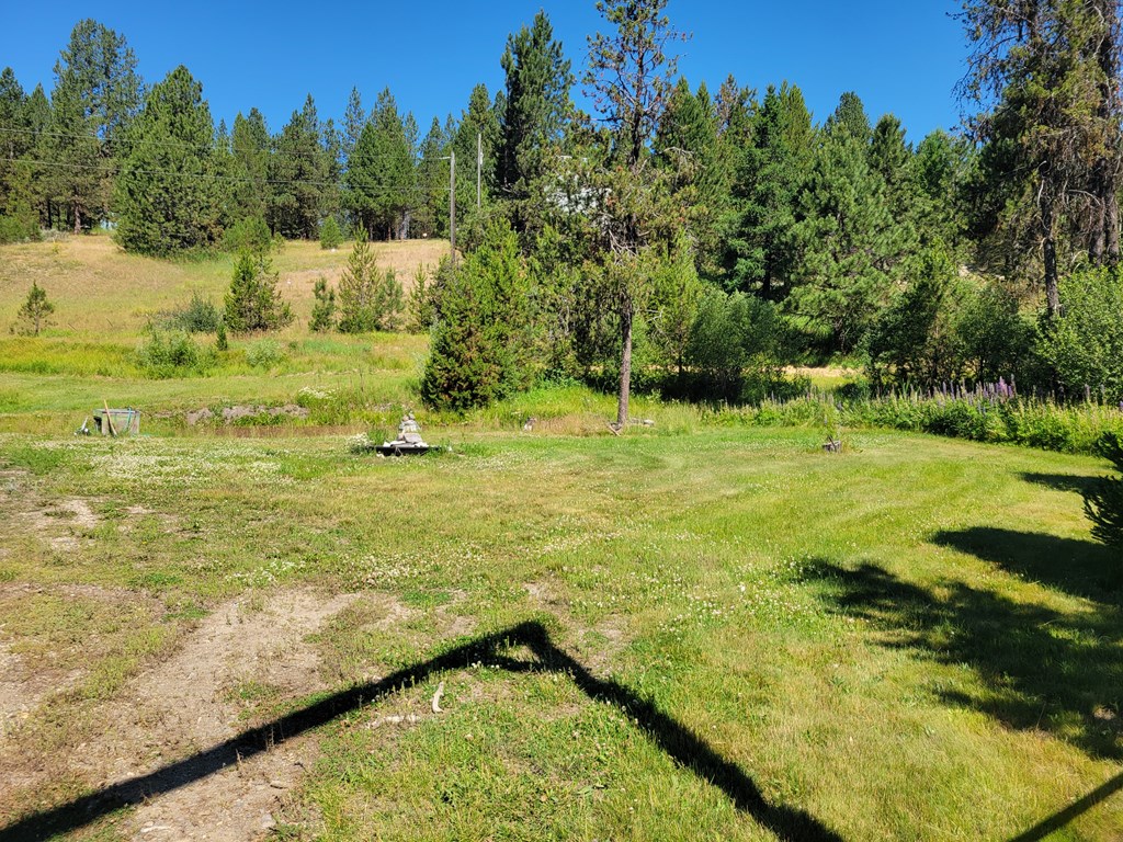 10525 Skunk Creek Road Cascade, ID 83611 - Photo 6 of 41 Level, useable 2.44 acres