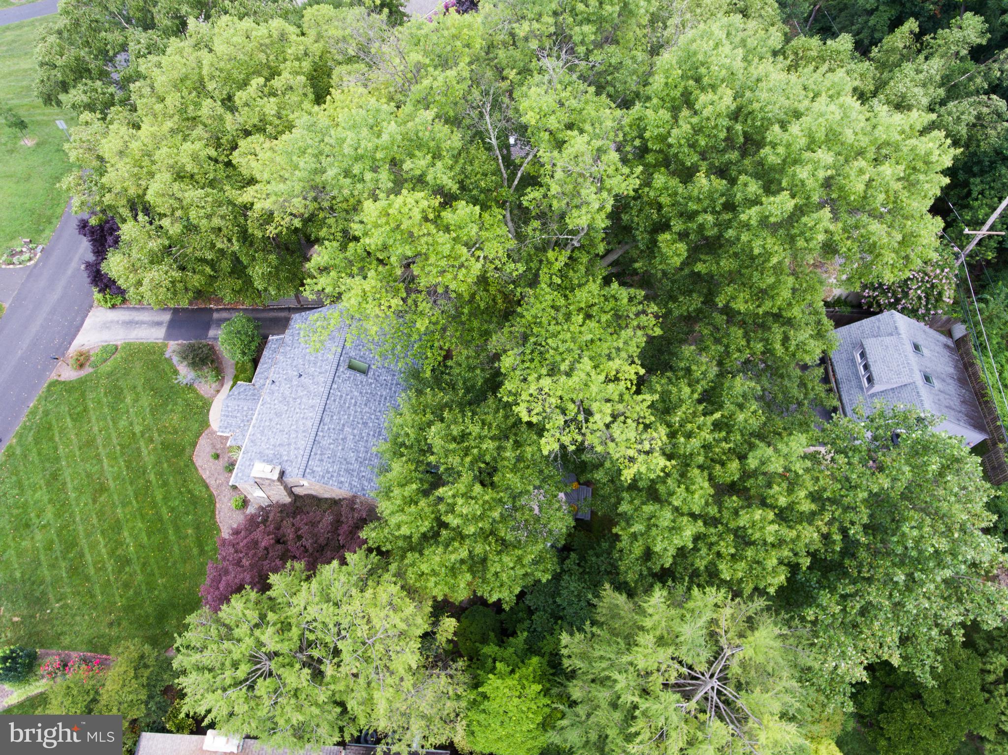 15 Meade Road Ambler, PA 19002 - Photo 23 of 94 Gallery Image 23