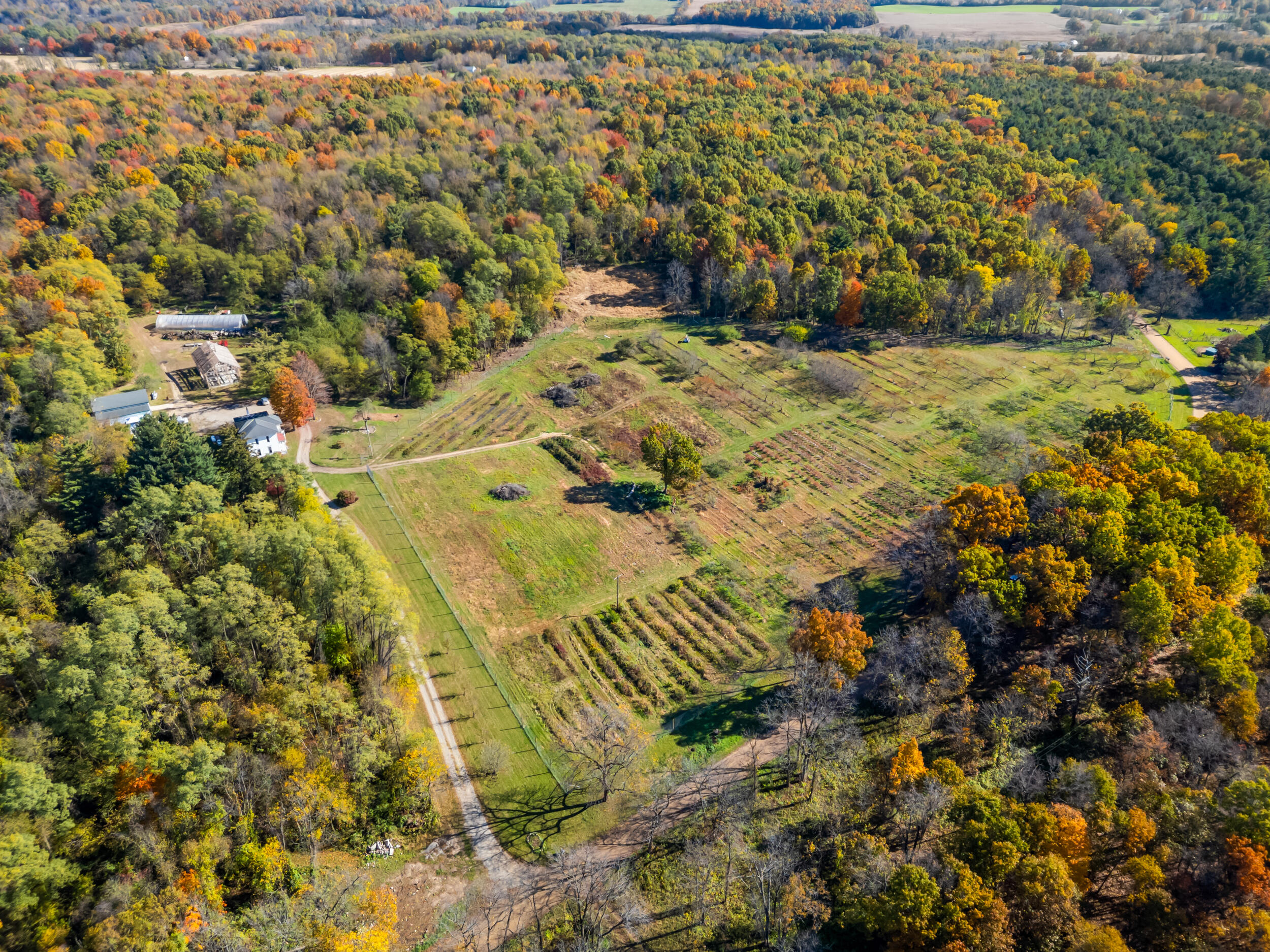 4680 Fitzpatrick Road Jonesville, MI 49250 - Photo 2 of 76 41_dji_0381