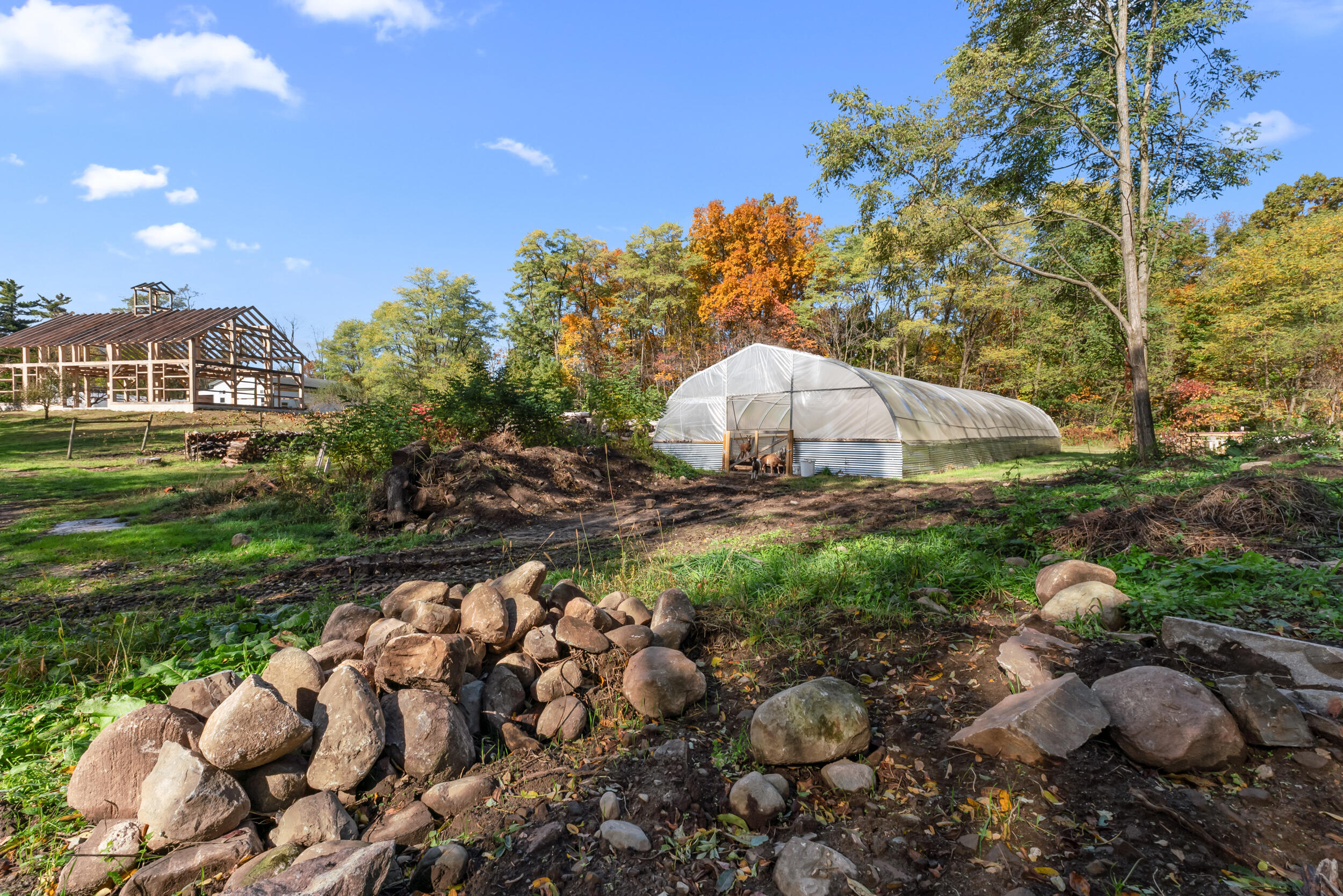 4680 Fitzpatrick Road Jonesville, MI 49250 - Photo 28 of 76 18__dsc1890