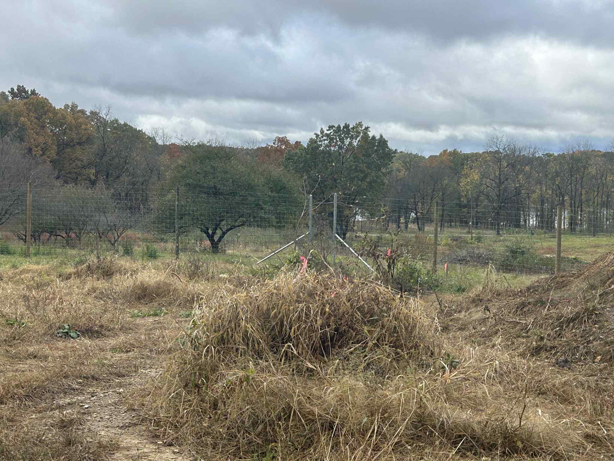 4680 Fitzpatrick Road Jonesville, MI 49250 - Photo 45 of 76 att.3YsnnMTib-uHUWwUziSV_kBLhTfJzrTrRVWl