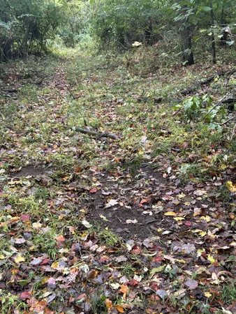 $1,200,000 | 4680 Fitzpatrick Road, Jonesville, MI 49250