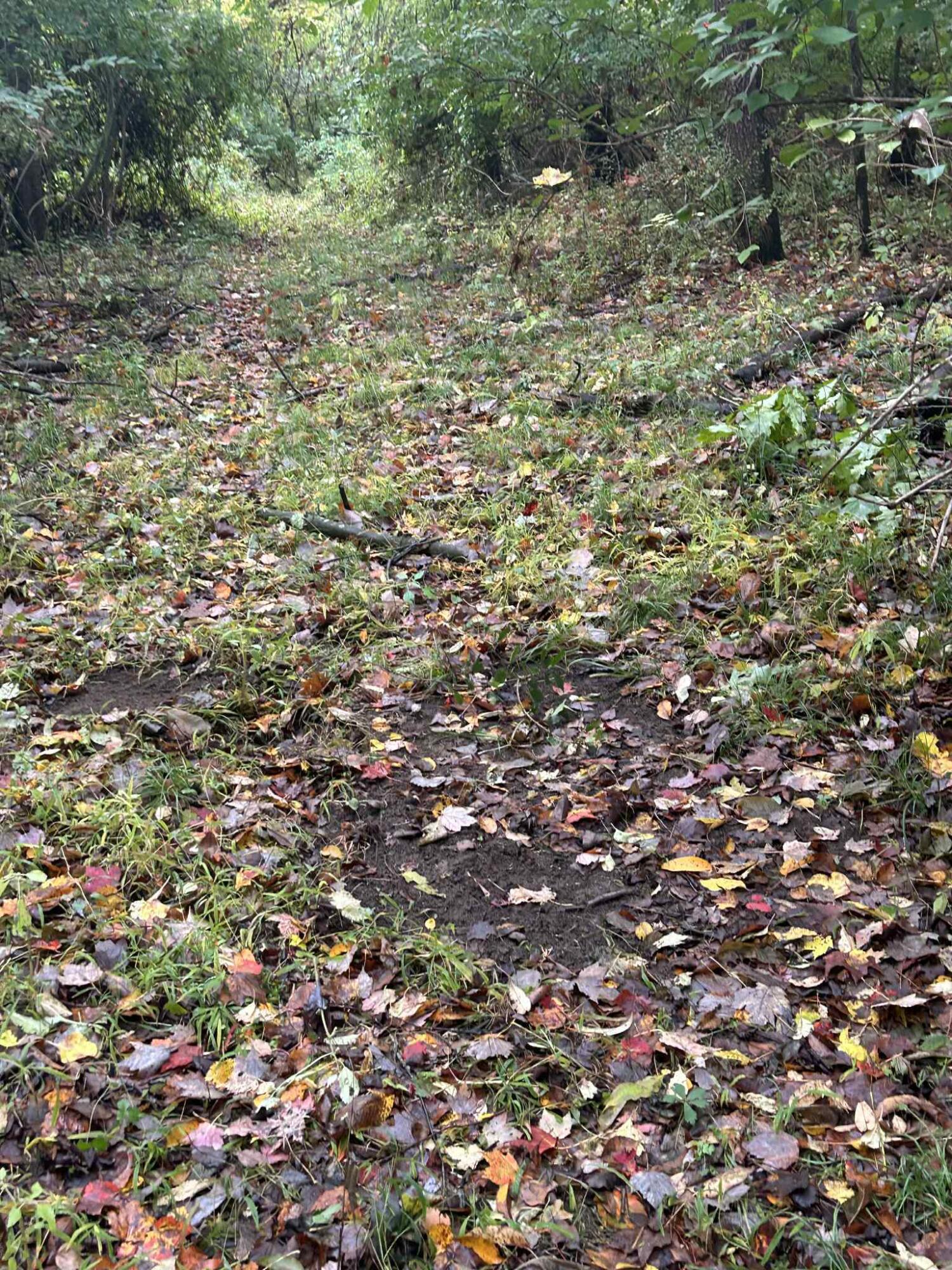 4680 Fitzpatrick Road Jonesville, MI 49250 - Photo 48 of 76 att.4W1Ck4b94BSgthyzuXaXw3oKD08l3e8S8H_d