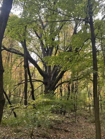 $1,200,000 | 4680 Fitzpatrick Road, Jonesville, MI 49250