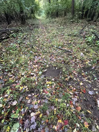 $1,200,000 | 4680 Fitzpatrick Road, Jonesville, MI 49250