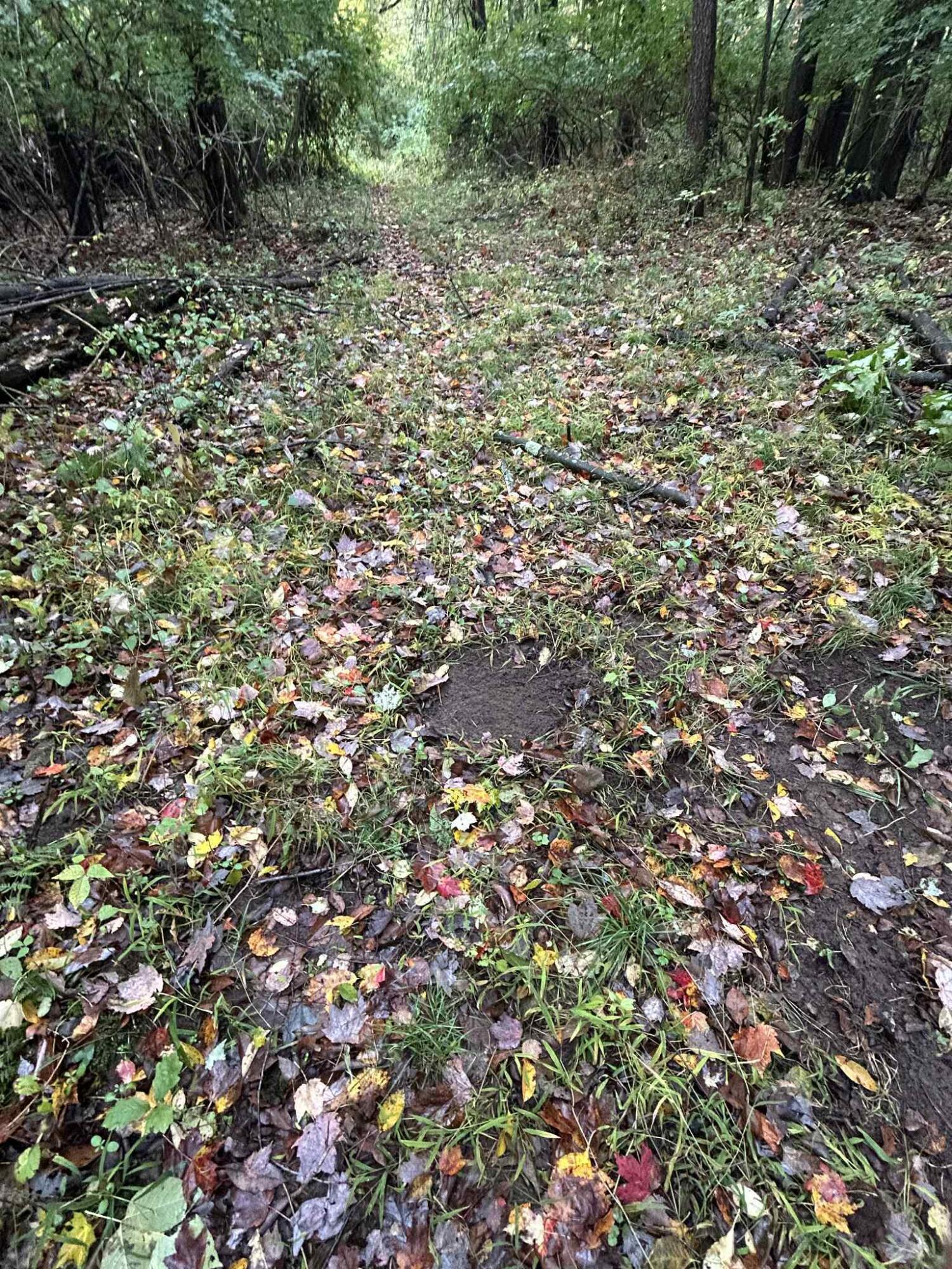 4680 Fitzpatrick Road Jonesville, MI 49250 - Photo 50 of 76 att.RJD0AggD3V7z1Lf0K3Bv5n4MZTMtQNrHgXgb